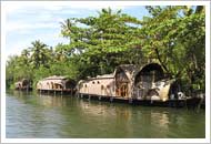 Backwaters at Kumarkom