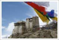 Leh Gompa