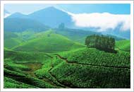 munnar