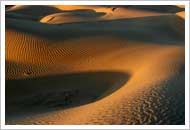 Golden Sand Tour of Rajasthan