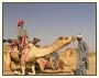 Camel Safari Tour