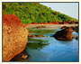 Goa Beaches Tour