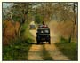 Explore Rural Rajasthan By Horse And Jeep Safaris Tour